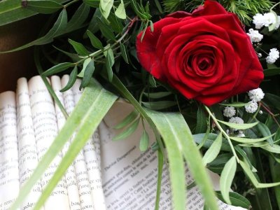 COM UN OCELL DINS DEL FULLAM