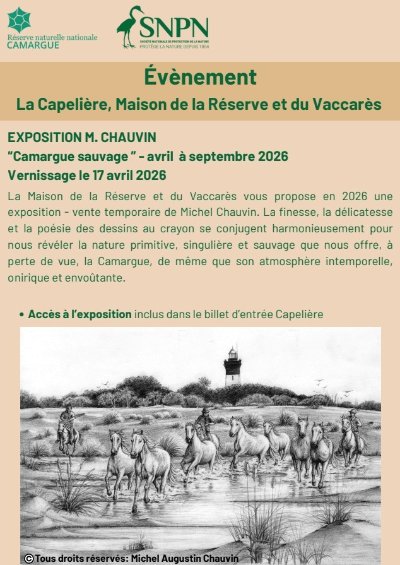 Exposition "Camargue sauvage"