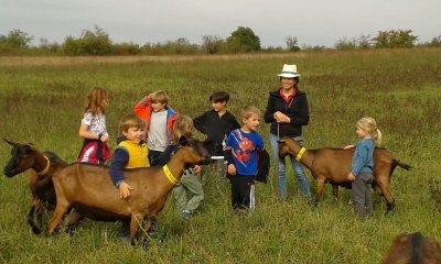 Balade avec les biquettes