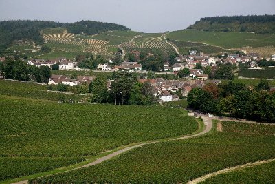 Formules dégustations de la Maison Tramier