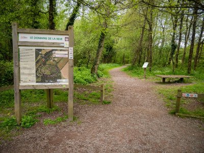 Balade en famille : les sentiers-nature du Domaine de la Beue
