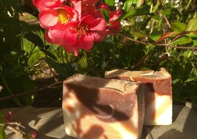 Randonnée pédestre