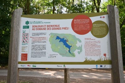 Balade en famille : Le sentier-nature du Domaine des Grands Prés