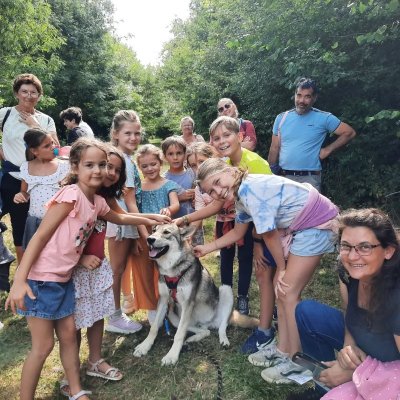 Randonnées avec les chiens-loups
