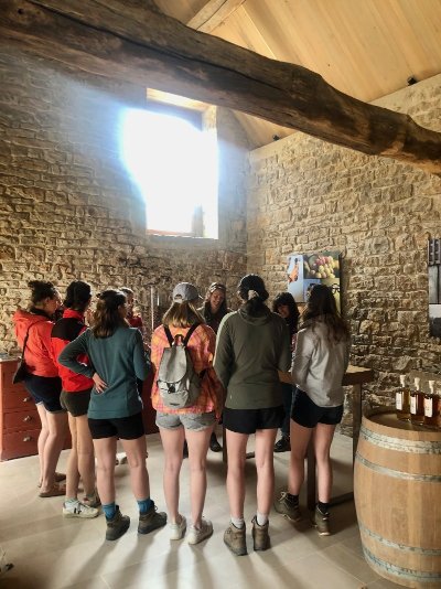 Visite guidée et dégustation de vins de Vézelay