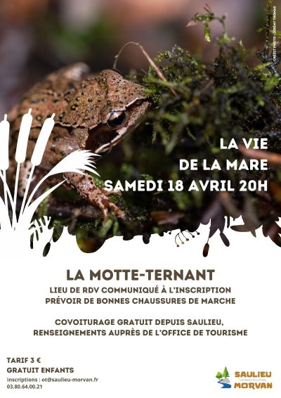 Sortie nature "La vie de la mare"