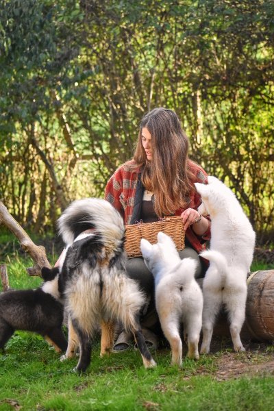 Dans la peau d'un chien de traîneau