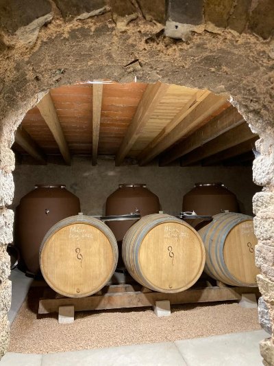 Découvrez le Domaine de Thalie et ses vins biodynamiques