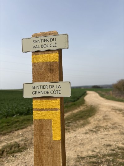 Randonnée viticole à Molesme - Domaine DANGIN