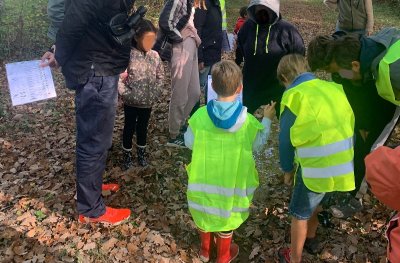 Sortie nature : Éloge de la biodiversité forestière