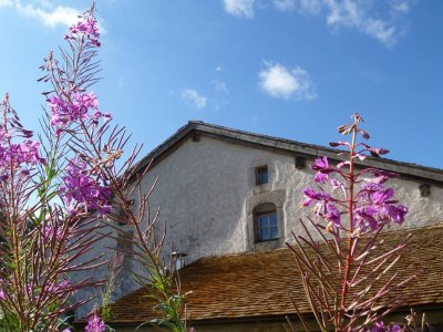 Exposition "Et si nous parlions des femmes ?"
