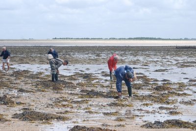 Initiation pêche aux praires
