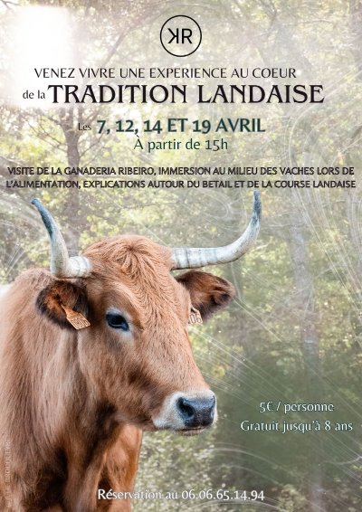 Vivez une expérience au cœur de la tradition landaise
