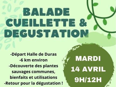 Balade, cueillette et dégustation avec Agnès de Naturopathie per tutti