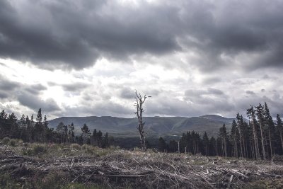 RÉUNION PUBLIQUE : E-CHO, LE PROJET INDUSTRIEL QUI MENACE LA FORÊT ET LE TERRITOIRE COMMINGEOIS.