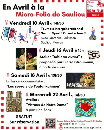 Empreintes végétales sur argile