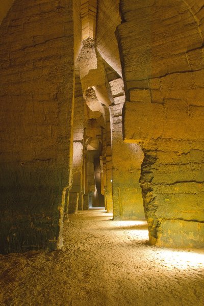 Les 1001 vies des troglos