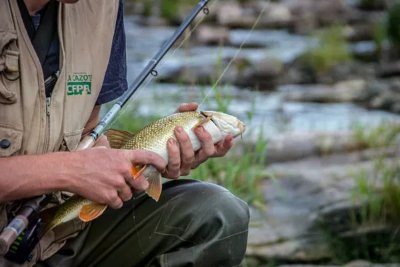 Animation découverte de la pêche à la truite