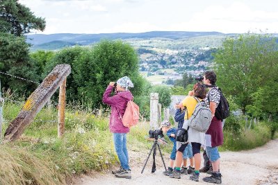 SORTIE NATURE - CRIS ET CHANTS D'OISEAUX