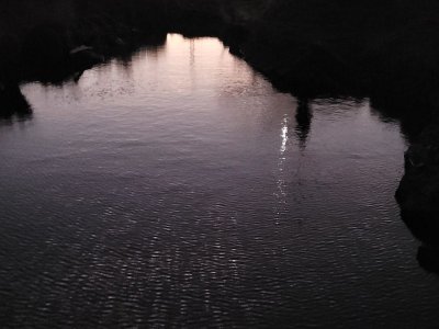 Exposition - Une Part de la Nuit