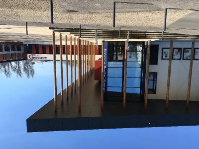 Viens créer ton terrarium !