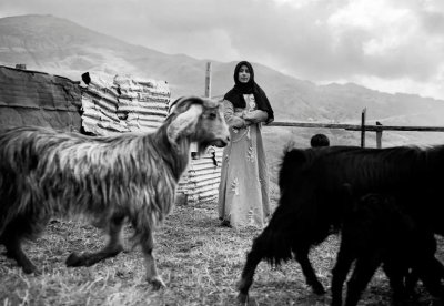 Exposition TEMPORARY LAND