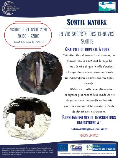 Sortie nature : La vie secrète des chauves-souris