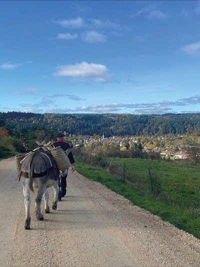 SORTIE NATURE : BALADE CONTÉE AVEC UN ÂNE
