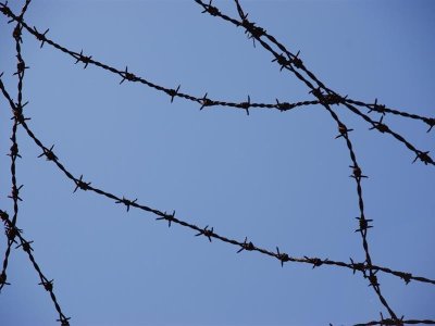 Exposition : Against forgetting