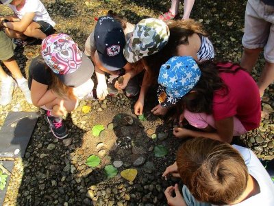 Art thérapie & Nature propose : Les Ateliers du lien