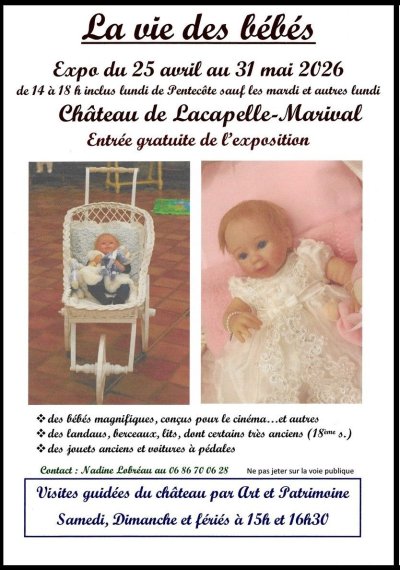 Exposition de Printemps au Château de Lacapelle-Marival : la vie des bébés