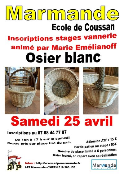 Stage de vannerie Osier blanc