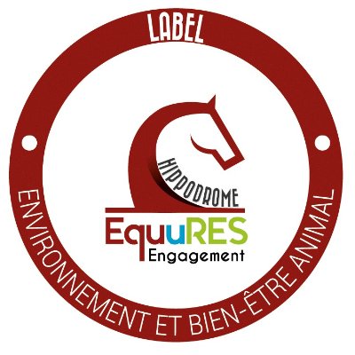 Courses hippiques - Tout galop