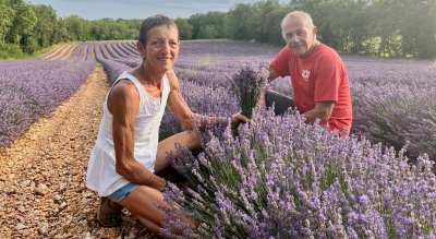 Le Lot de ferme en ferme : Les Senteurs de Roumégouse - Lentillc-du-Causse