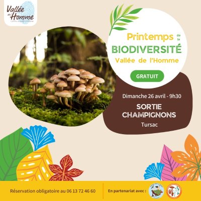 Printemps de la biodiversité - Sortie champignons