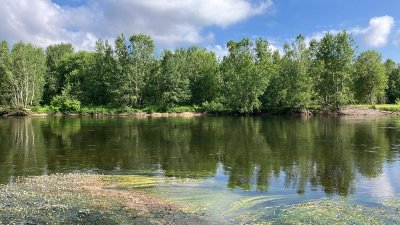 Sentier de découverte - Le lilot de Veyrignac