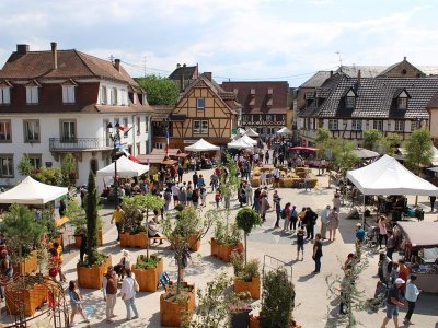 Erstein, un parfum de printemps