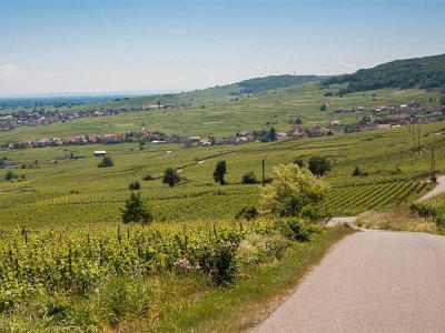 Escape game : les clés de la cave