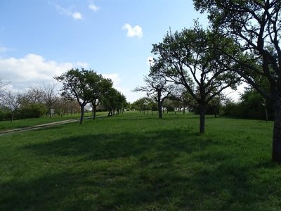Sentier Nature du Bastberg