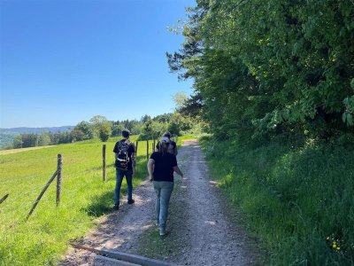 Randonnée printanière