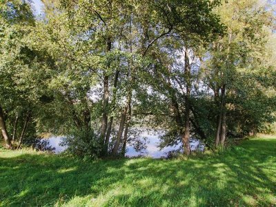 Deviens un archer romain !