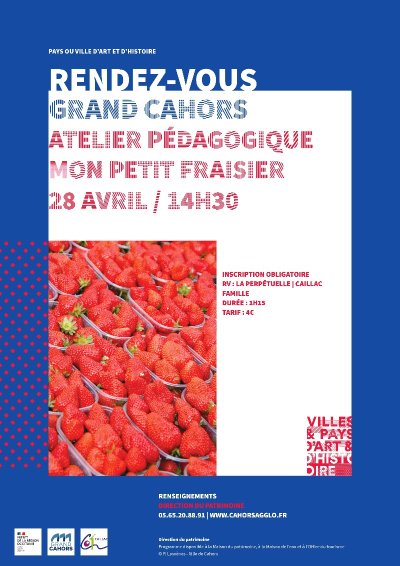 Animation pédagogique : Mon petit fraisier