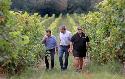 Visite de la Cave des Vignerons de Tursan