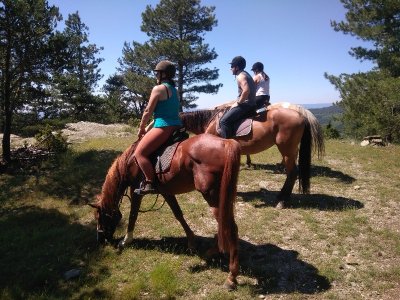 STAGE EQUESTRE : INITIATION DECOUVERTE