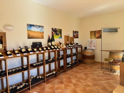 Dans le secret de nos caves