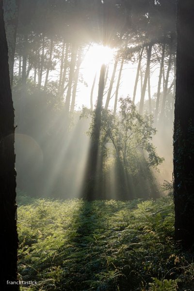 Exposition Francktastick Photographe