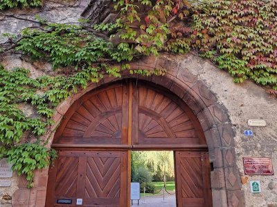 Atelier - Mets et Vins : Le fromage est roi