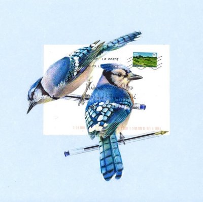 Chemin des ateliers du Perche I Céline Glad