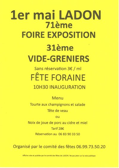 Foire Expo, Vide-Greniers & fête foraine