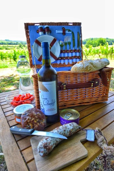 Pique-nique dans les vignes au Château Hostens-Picant